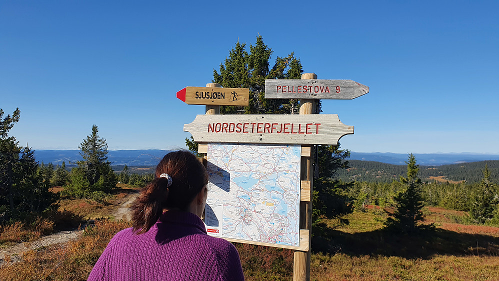 På skikrysset