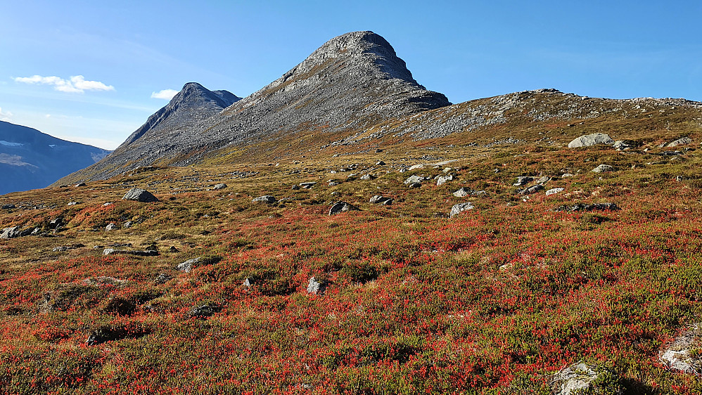 Nede i Ljøsabotn igjen, nydelige høstfarger foran Goksøyra og Litlefjellet