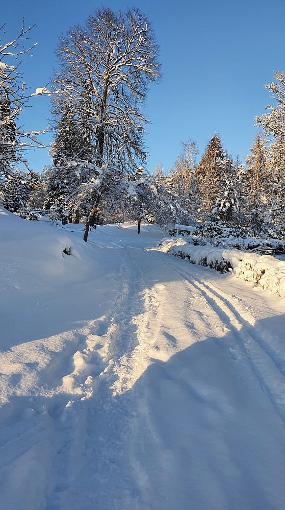 Skispor i Reknesparken