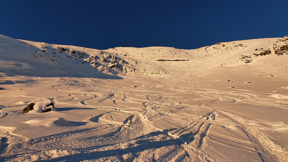 Østre Skålbotnen er populær. Deilig pudder, om enn litt lite snø foreløbig. 