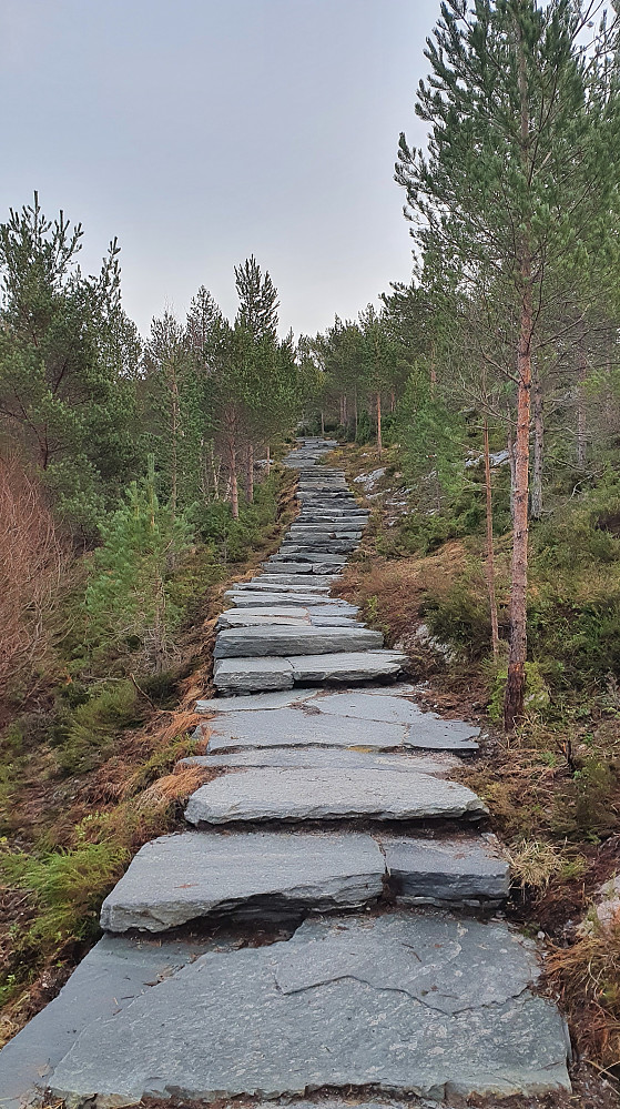 Ny trapp opp til Kvernberget 