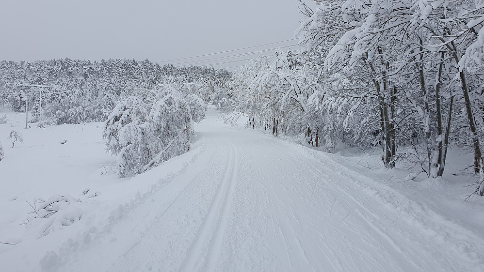 Ved Øverlandsvatnet 