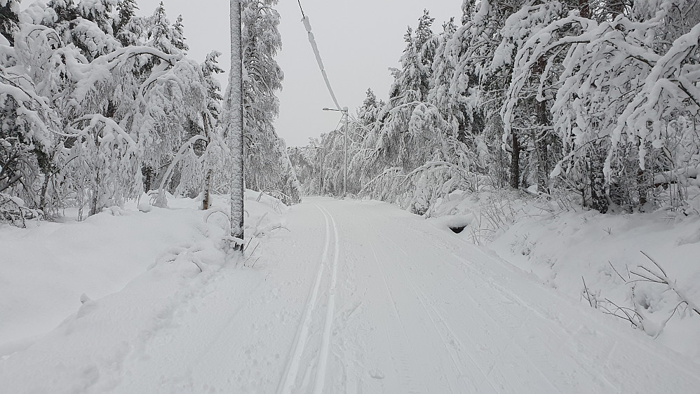 Opp lysløypa fra Grua 