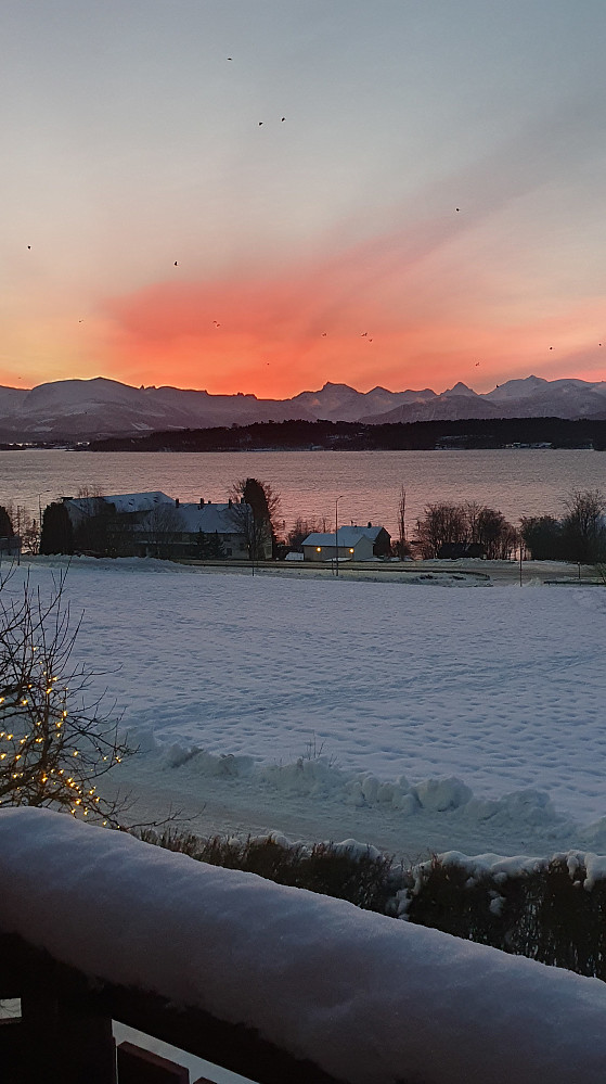 Morgenlys i Myrvegen 
