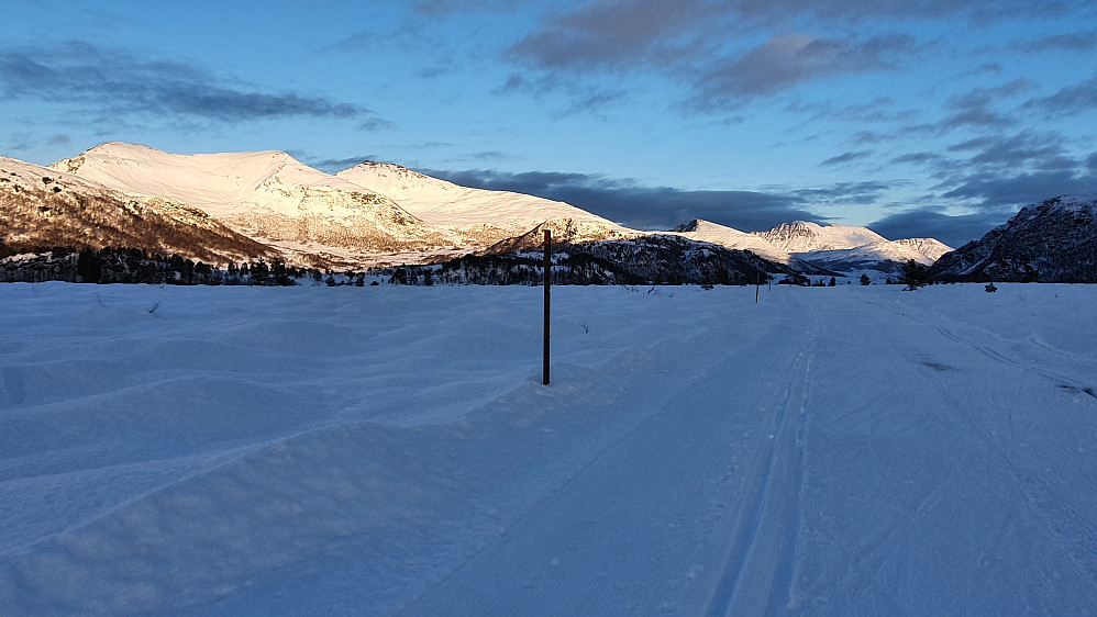 På Berrmyran, med Butippen, Bjørnen, Sørtussen og Stortussen/Snøtind bak