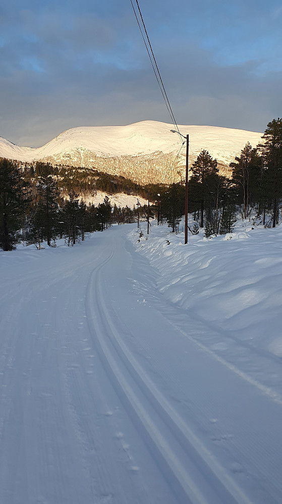 Urfjellet 