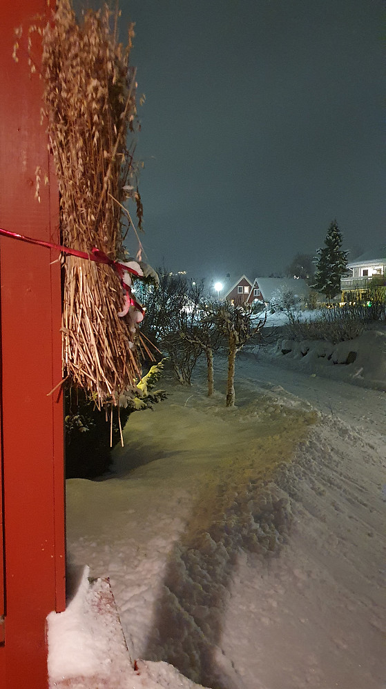 Startet dagen med å måke bort 20 nye cm nysnø.