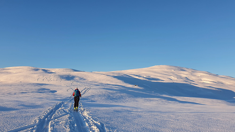 Noe eget med viddene innover mot Maifjellet på en slik kald vinterdag
