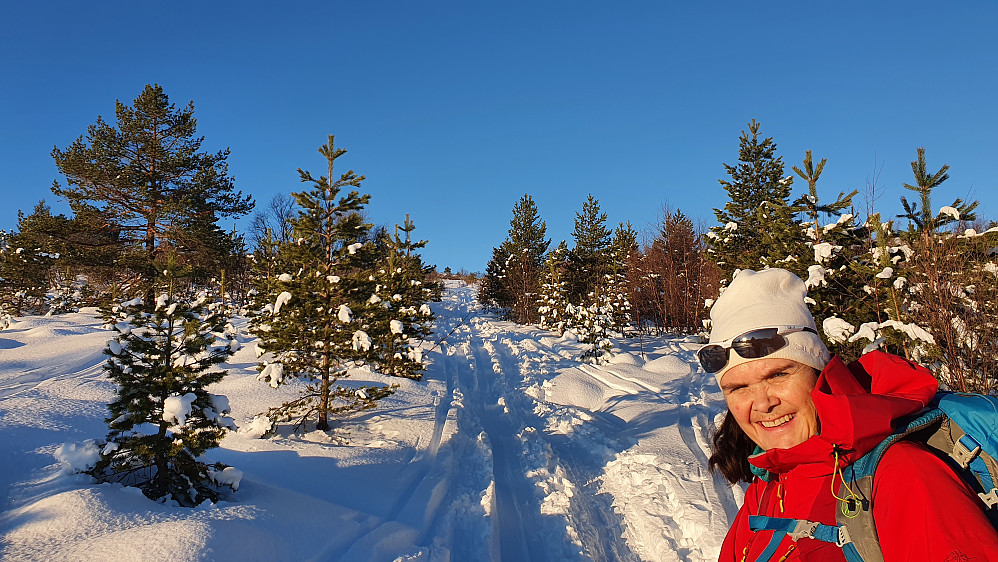 Fin dag i sola