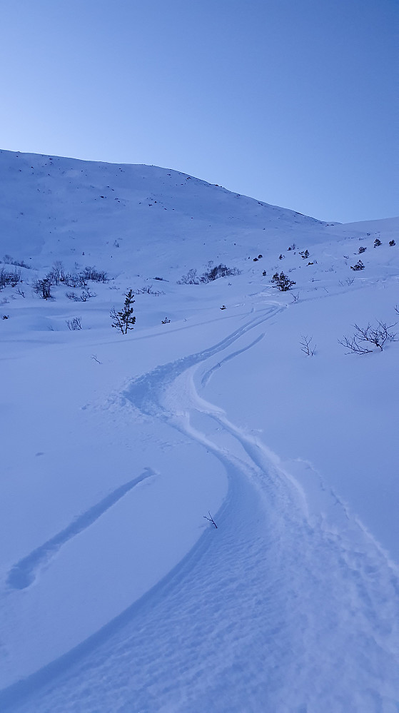 Østfjella 