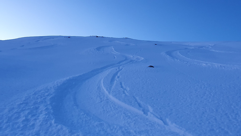 Ned Østfjella