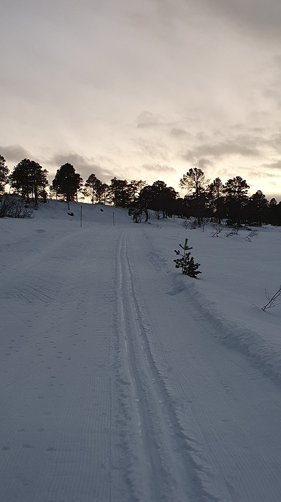 Opp mot Ulvshaugen
