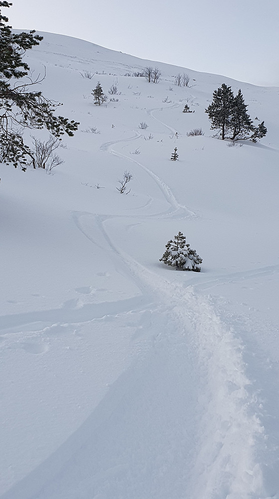 Østfjella 