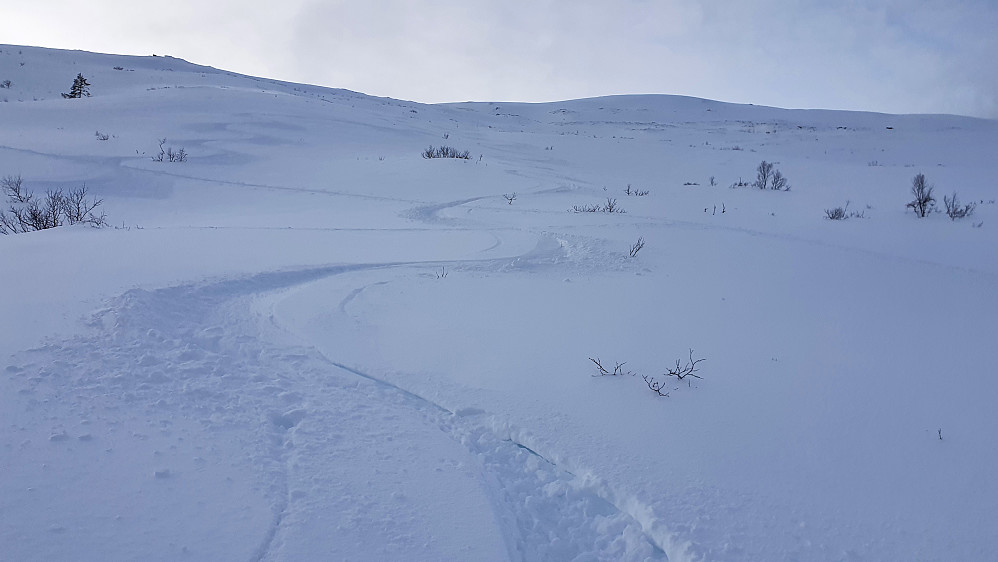 Østfjella 