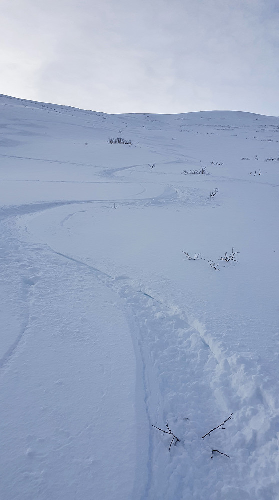 Østfjella 