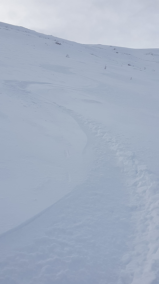 Nydelig i Østfjella