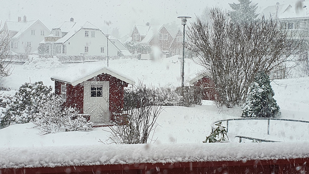 Det laver ned - slik blir det pudderføre av :-)