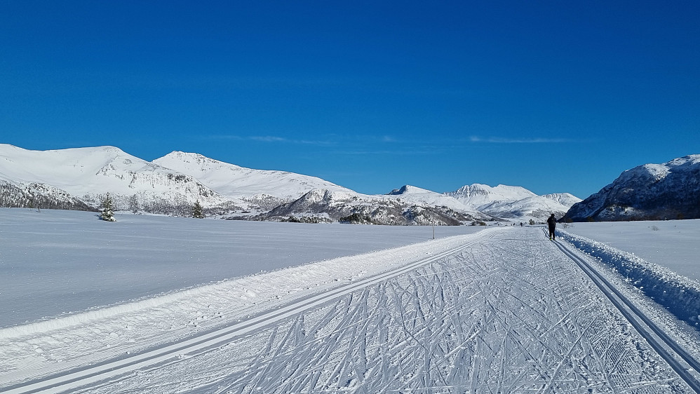 På Berrmyran