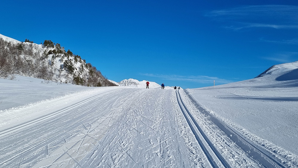 Langdalsreset