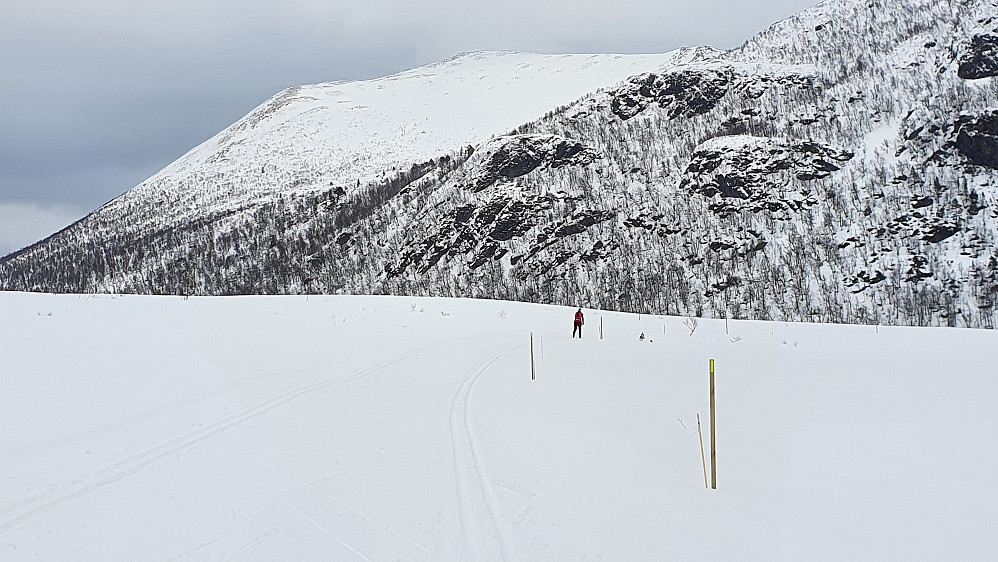 På Langdalsreset -  mot Maifjellet 