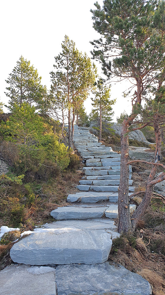 Vårlig opp til Kvernberget 