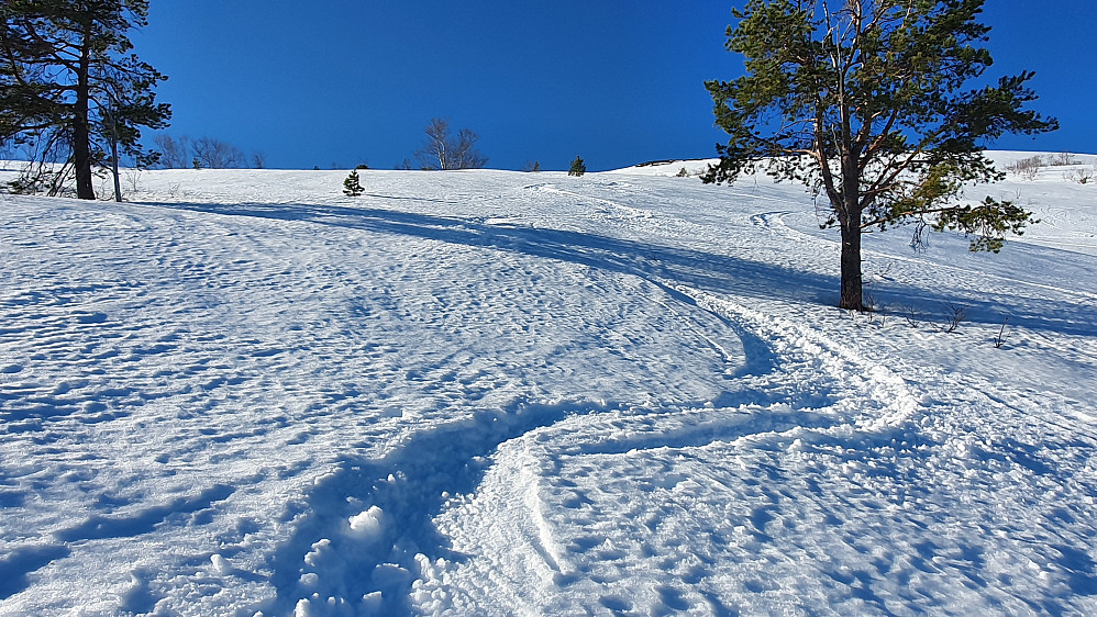 Østfjella 