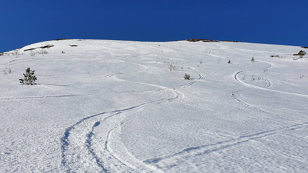 Østfjella