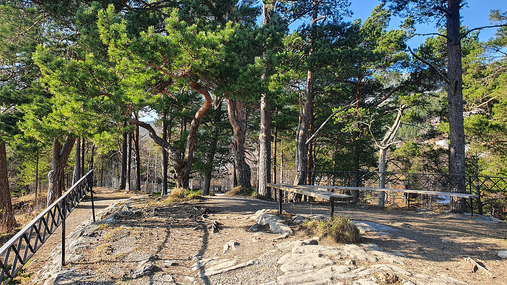 Rekneshaugen