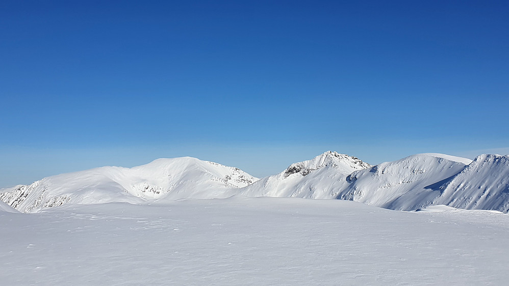 Luten, Bjørnen og Butippen