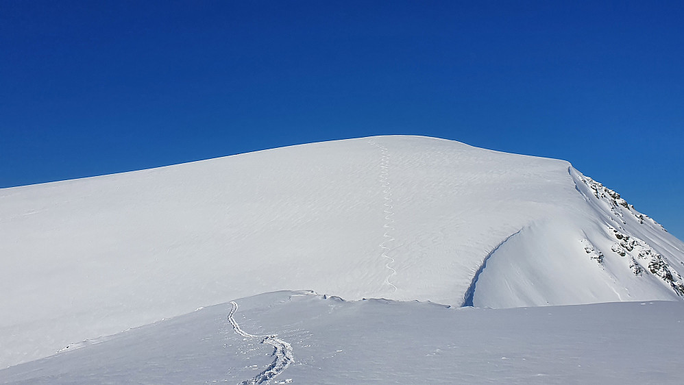 Tilbakeblikk på Søre Kvannfjellet