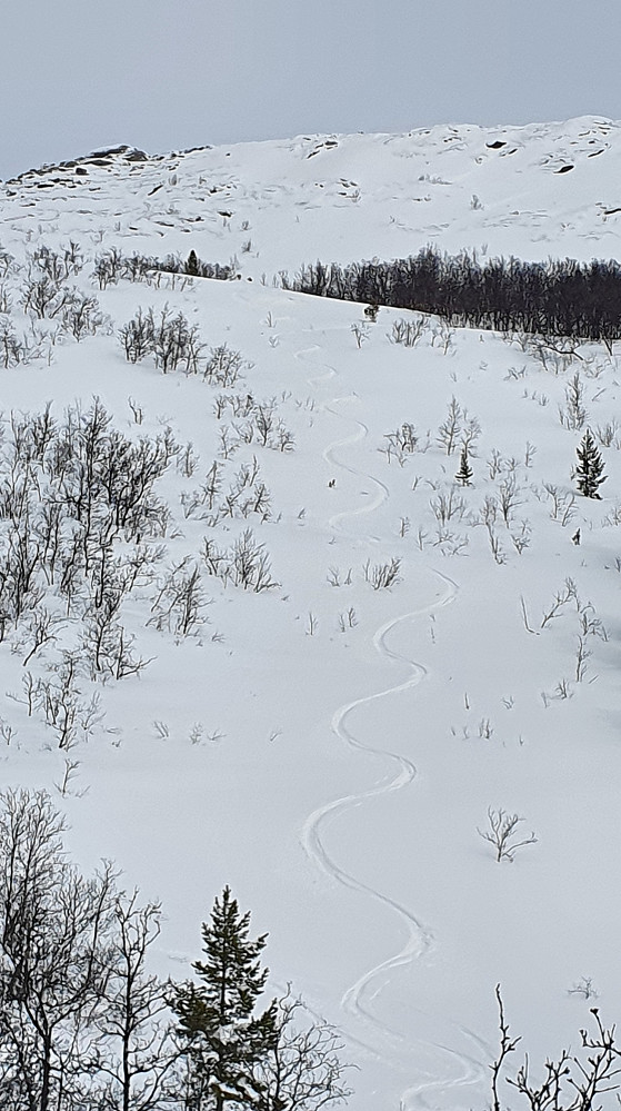 Tilbakeblikk fra Nedre Liarberget