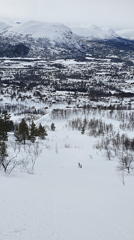 Herlig nedkjøring i snaufeltet ned mot NedreLiarberget