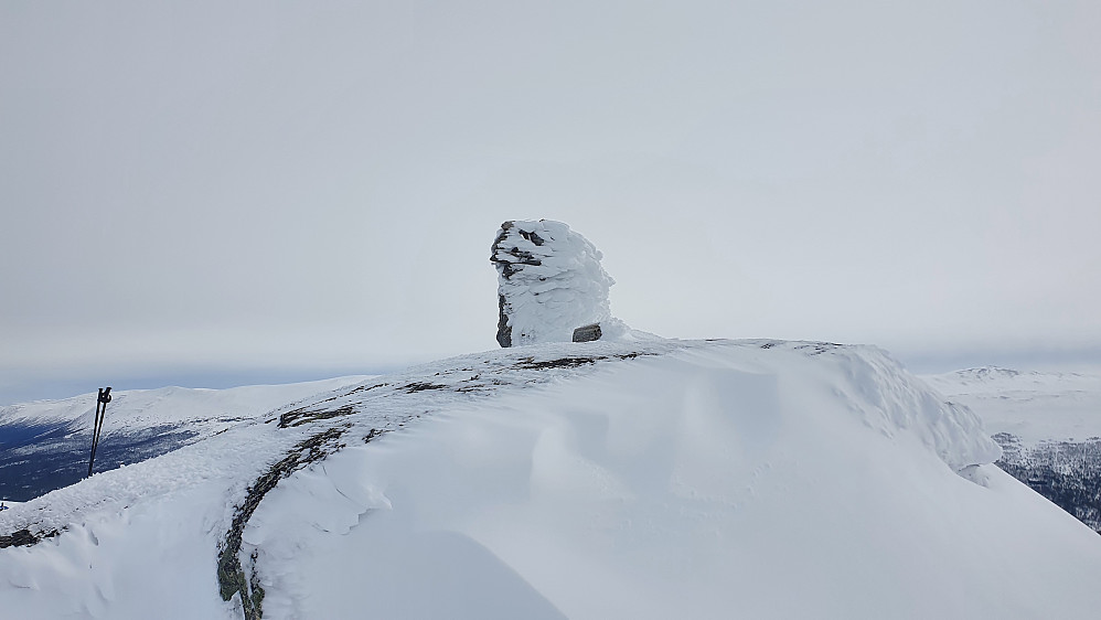 Kongelberget 