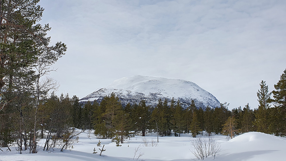 Rånåkollen 