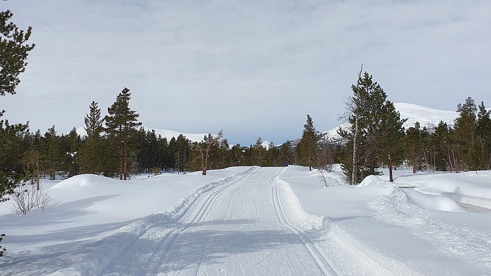 Flott vær, litt sug på zero-skiene