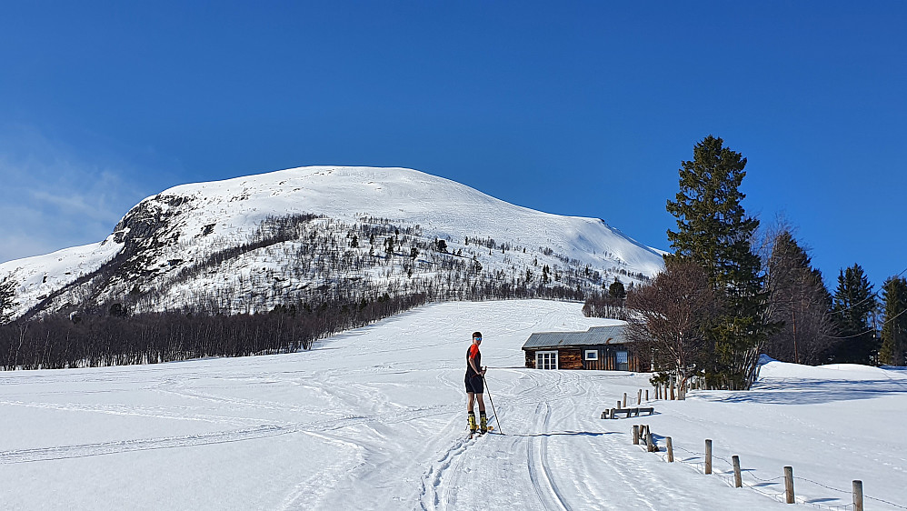 Opp fra Rånå mot Rånåkollen 