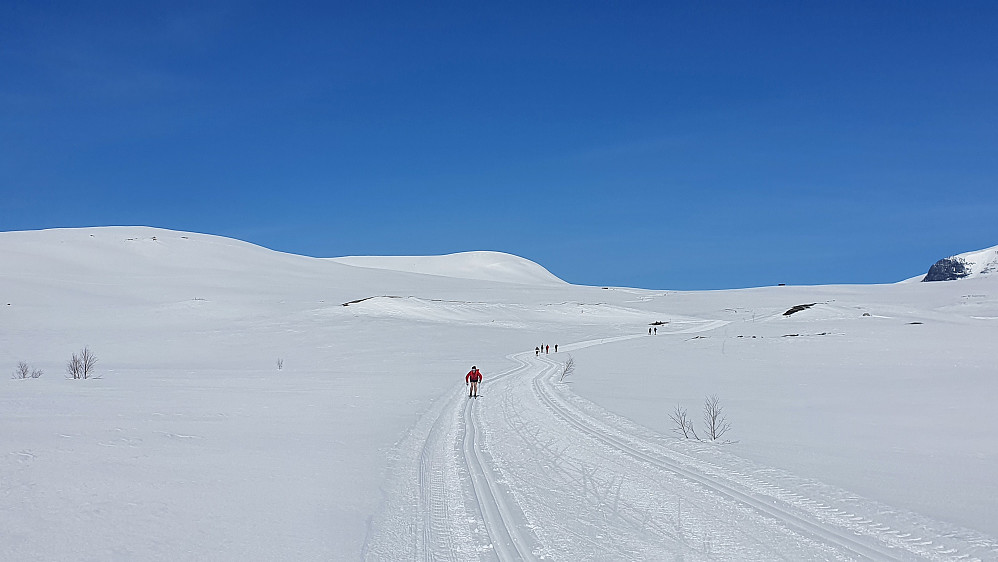 En nydelig runde 
