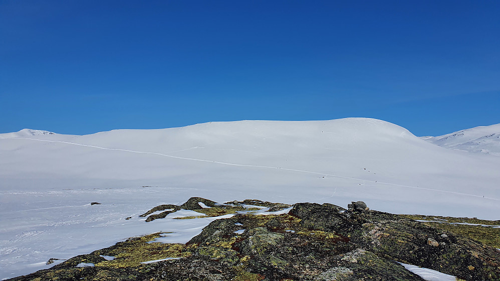 På Ettare Kongelberget, løypa (og Kollhøe) i bakgrunnen