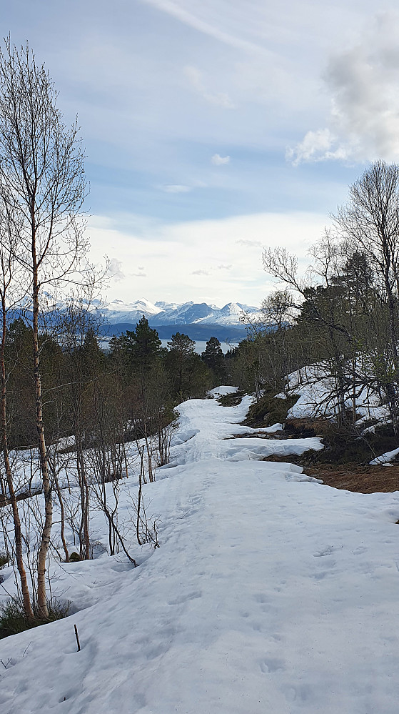 Tilbake skogsvegen i dag for å rekke kampen. En del bekkeforseringer, men skiene var på hele vegen. Ellers 11 min bæring av ski i starten, og 7 min på slutten. Skiene på/av litt nedenfor tuftene av Eikremsetra, som forøvrig ikke er der det er navnet på kartet, men på andre siden av det som på kartet feilaktig heter Brenthaugen (Brenthaugen er på toppen av kortheisen til Tusten).