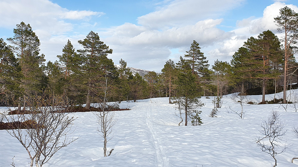 Bra med snø etter 10 min bæring opp (6 min bæring ned)