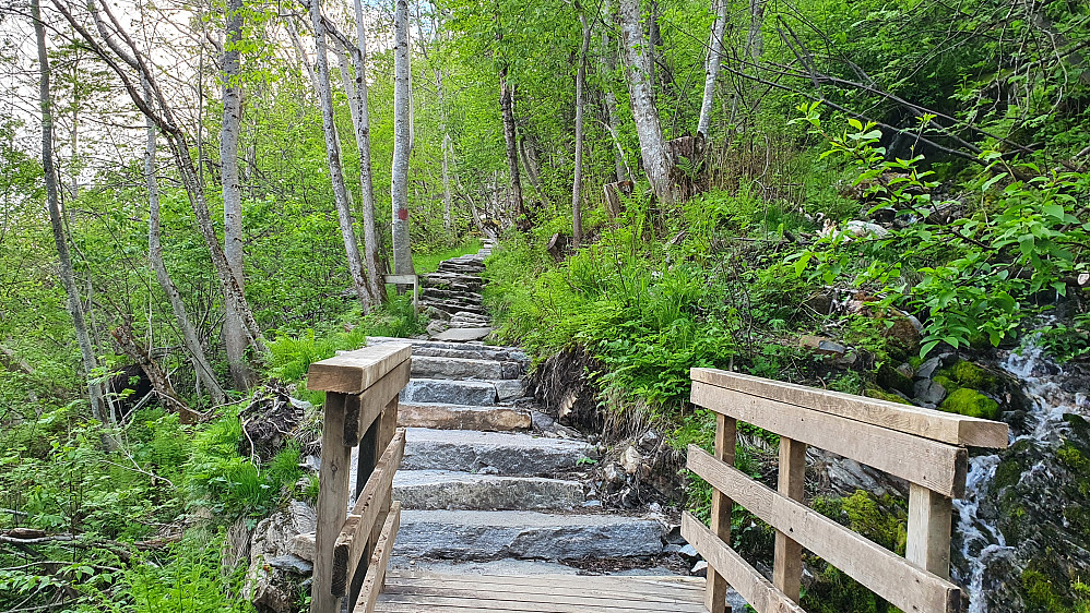 Nye trapper opp til Vesterås