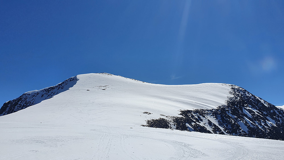 Siste biten mot toppen. Ganske hardt føre siste bratta i dag, men greit på ski helt til topps (uten skarejern).