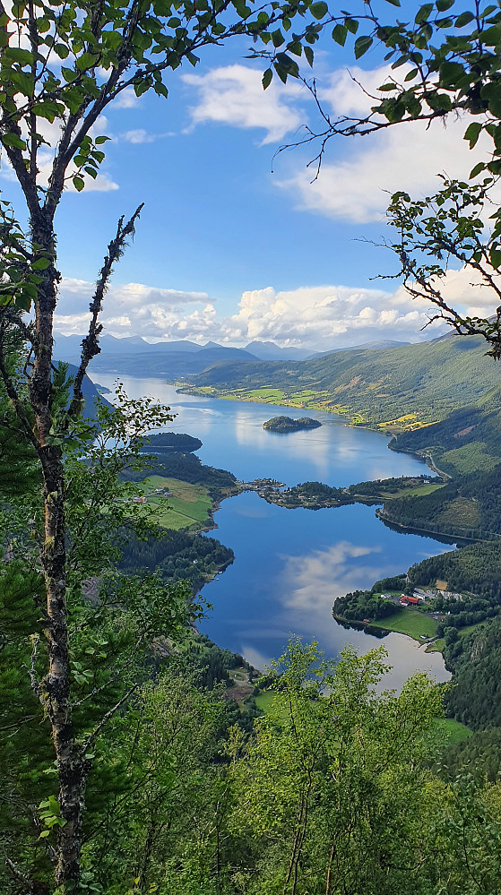 Rødvenfjorden og Hamrevågen