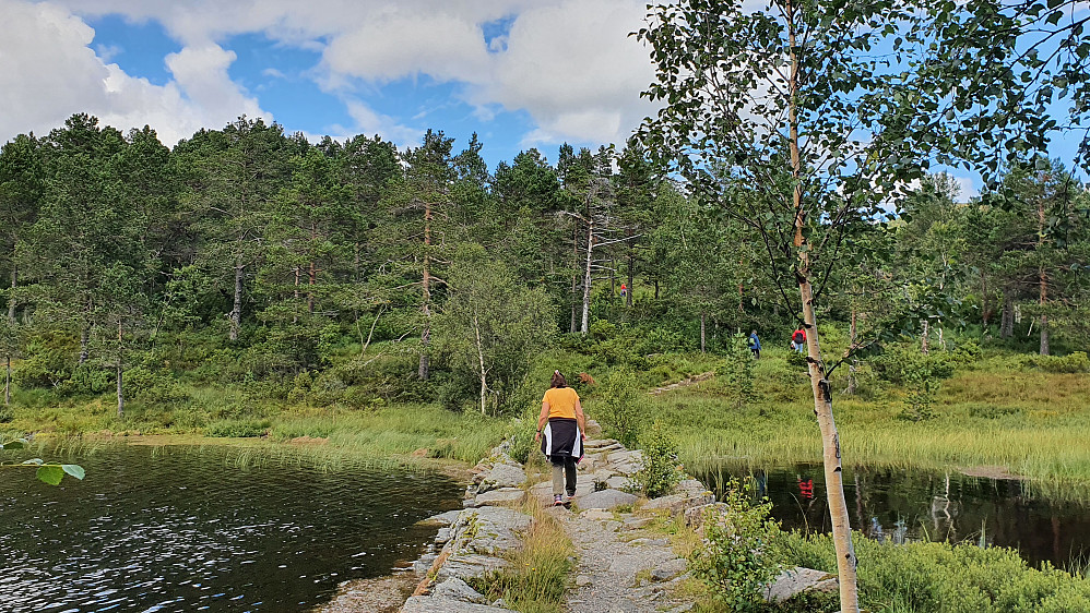 Ved Øverlandsvatnet 