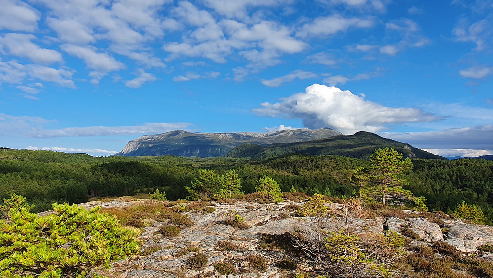 På Svensvikhaugan - mot Knubben, Jørgenvågsalen og Sinnsettuva 