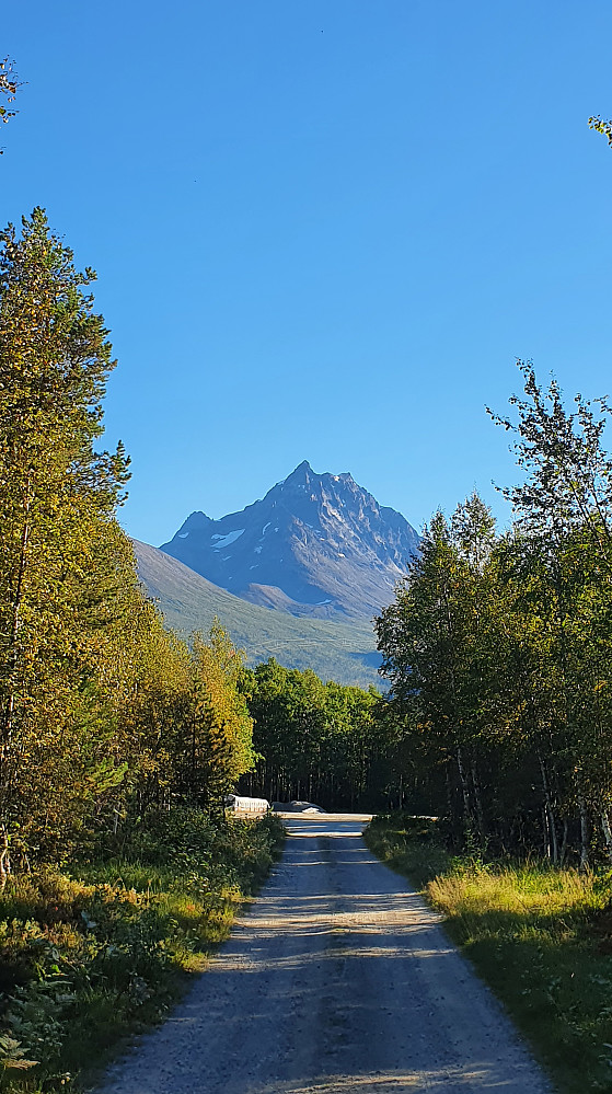 Store Vengetind i all sin prakt