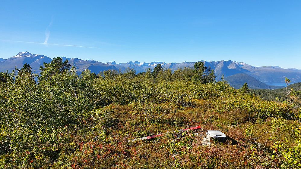 Gammel trig på Nyfjellrørin