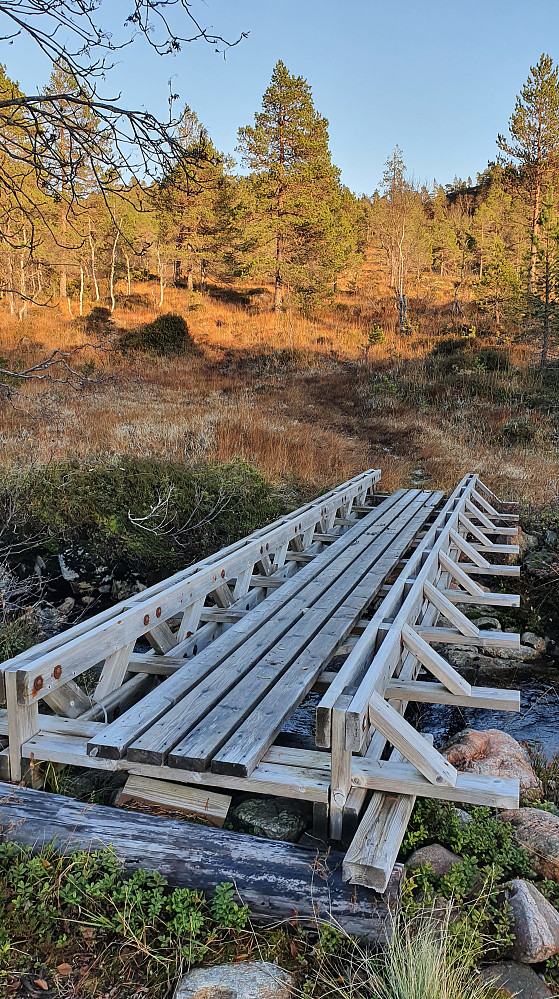 Bru i Moldedalen