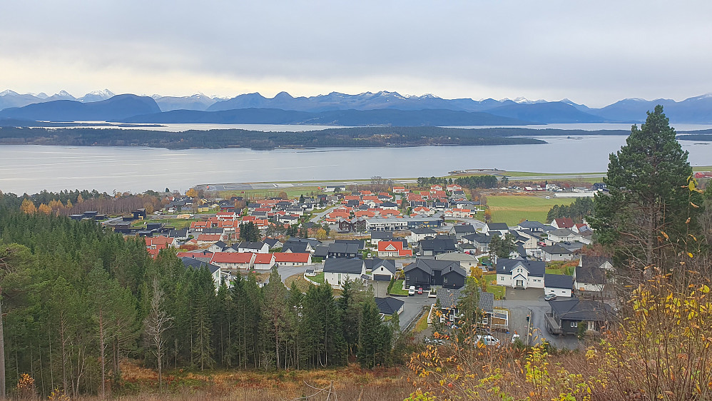 Årølia