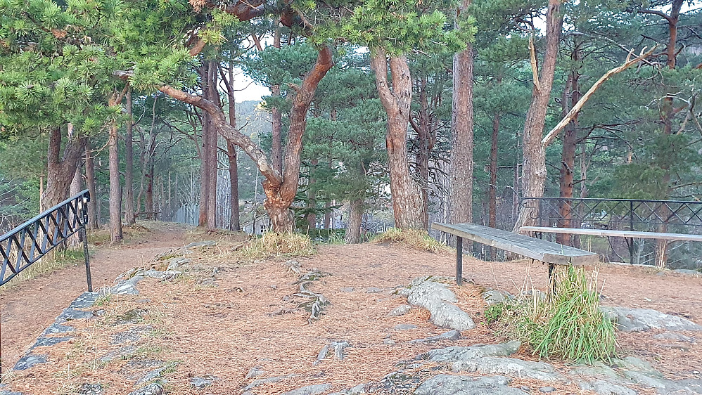Rekneshaugen